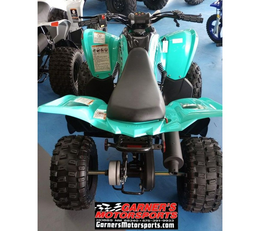 2024 Yamaha Raptor 110