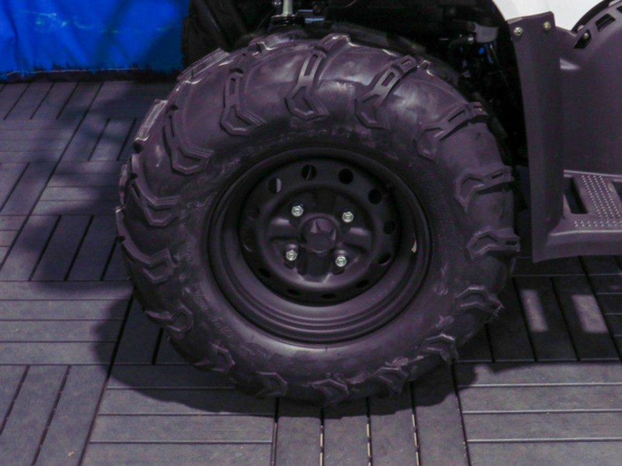 2025 Kawasaki Brute Force 450 4x4