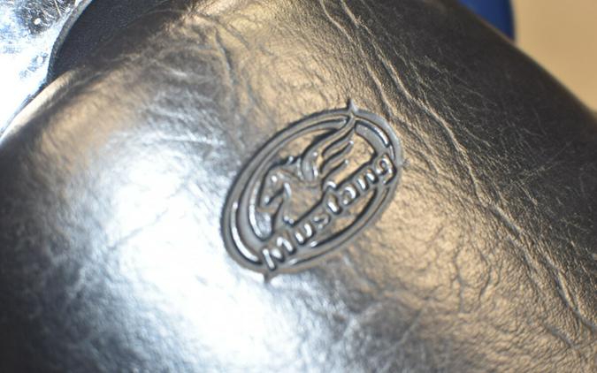 2011 Electra Glide Ultra Classic Shrine