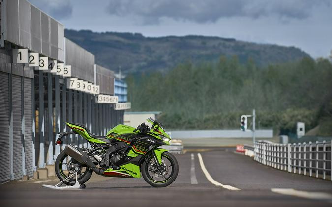 2023 Kawasaki Ninja ZX-4RR KRT Edition