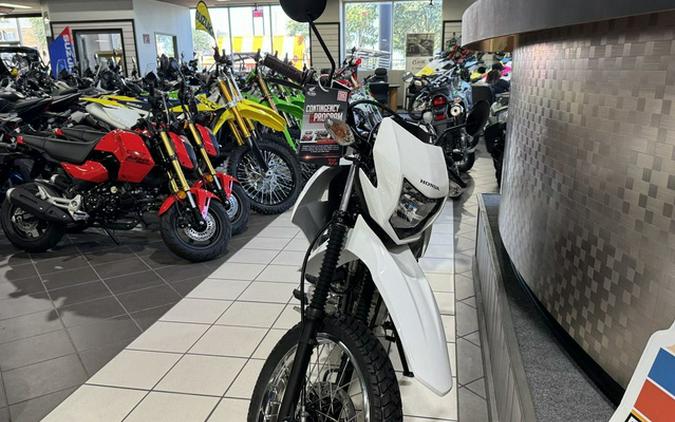 2025 Honda XR 150L