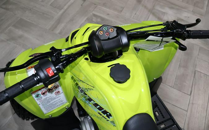 2026 Yamaha Raptor 110