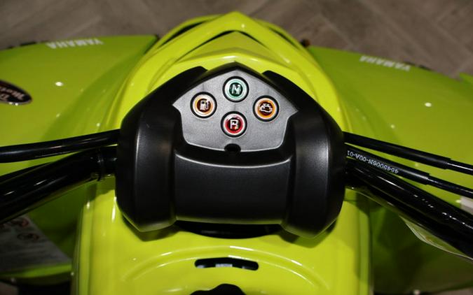 2026 Yamaha Raptor 110