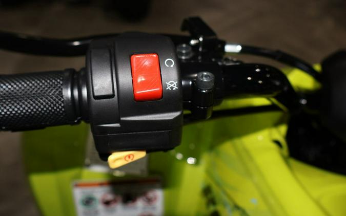 2026 Yamaha Raptor 110