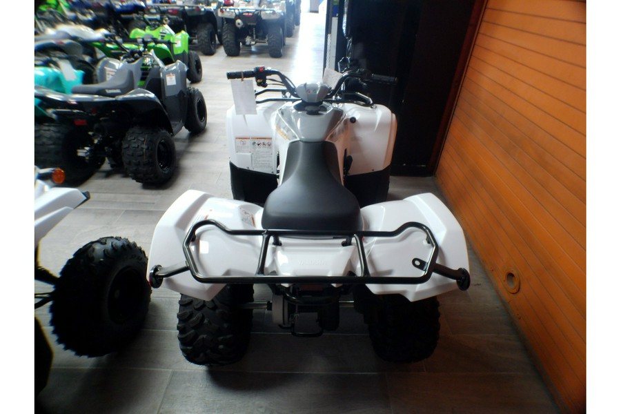 2024 Yamaha Grizzly 90