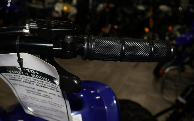 2026 Yamaha Raptor 110