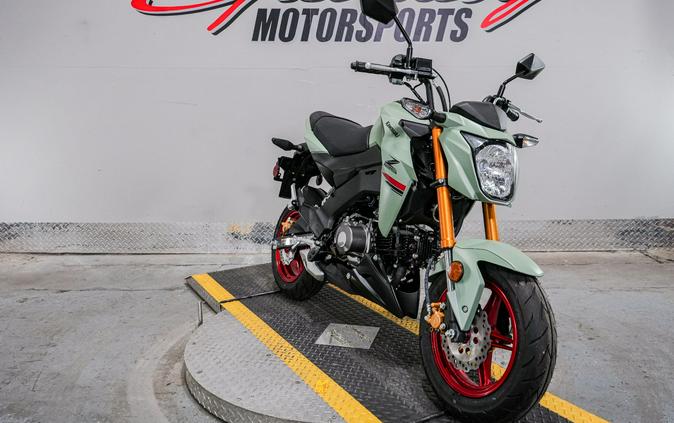 2023 Kawasaki Z125 Pro