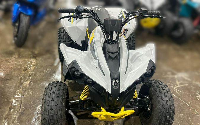 2026 Can-Am RENEGADE 110 EFI
