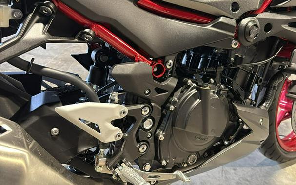 2025 Kawasaki Z500 SE ABS