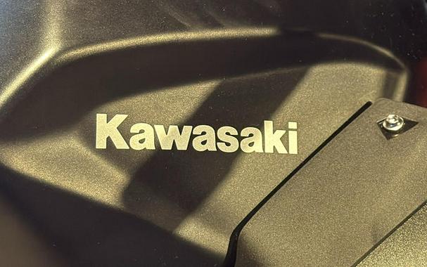 2025 Kawasaki Z500 SE ABS