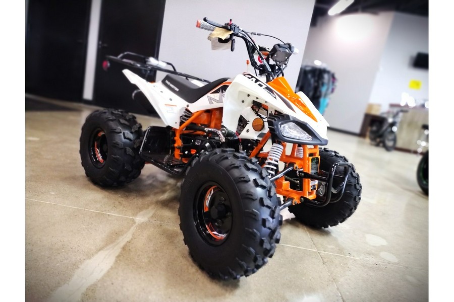 2025 TAOTAO Cheetah 125