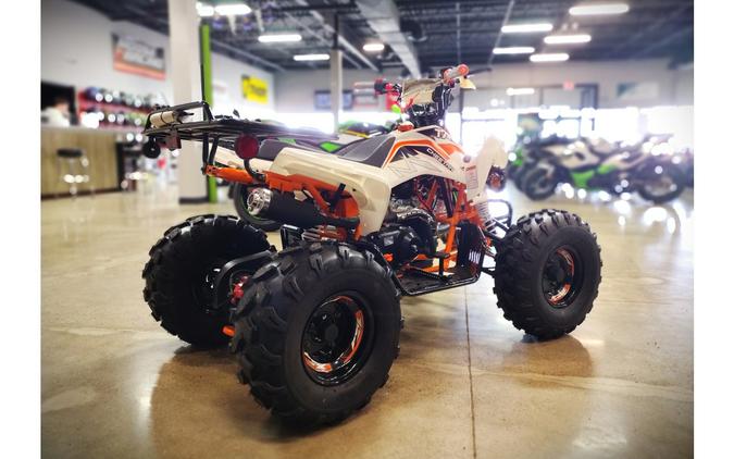 2025 TAOTAO Cheetah 125