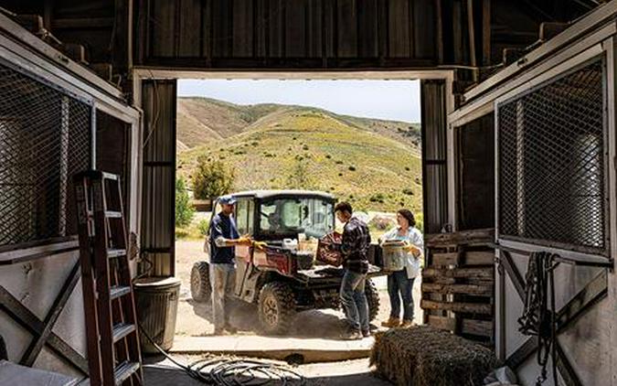 2024 Can-Am Defender MAX Limited HD10