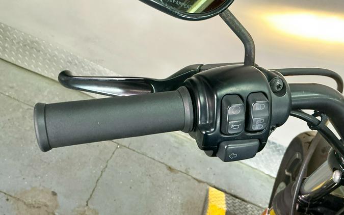 2018 Harley-Davidson Iron 883™