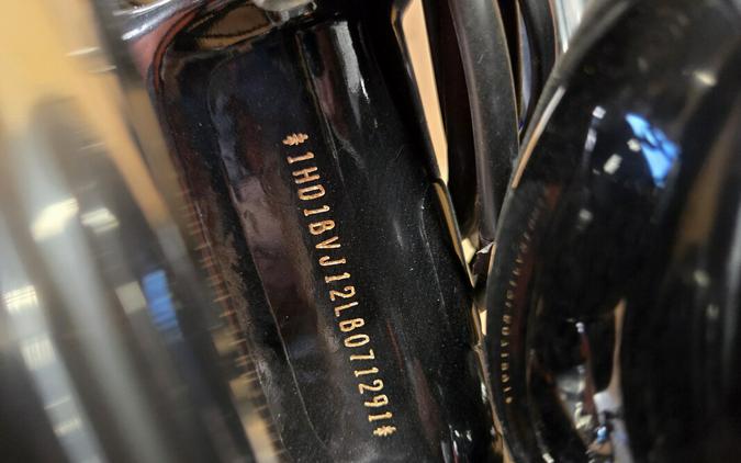 FXST 2020 Softail Standard®