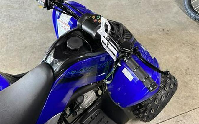 2024 Yamaha Raptor 110