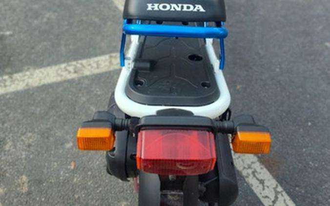 2022 Honda Ruckus