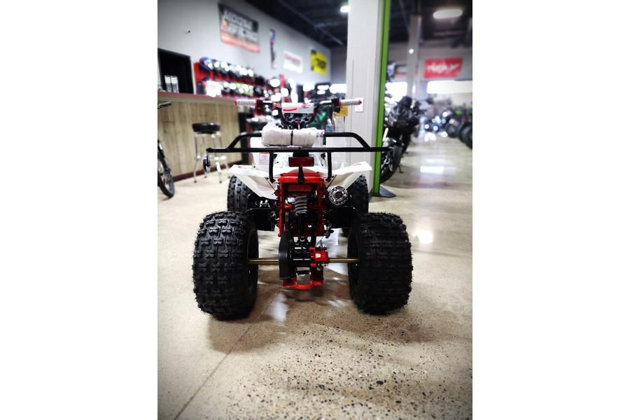 2025 TAOTAO Cheetah 125