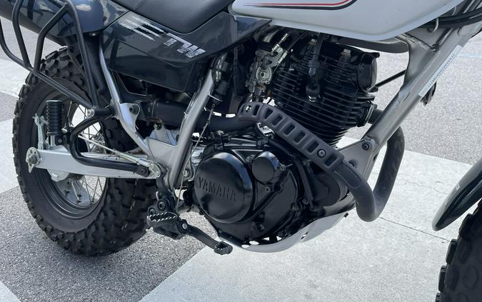 2025 Yamaha TW200