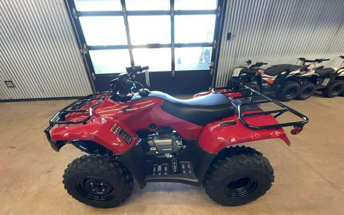 2024 Honda® TRX250TEP