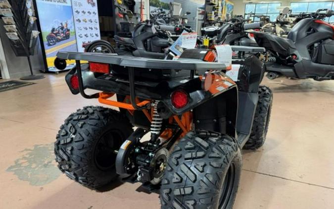 2026 Kayo Bull 125 EFI