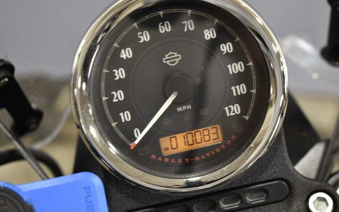 2021 Harley-Davidson Iron 883