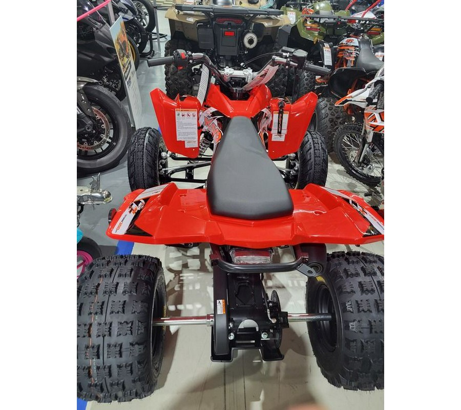 2026 Kayo Storm 300 EFI