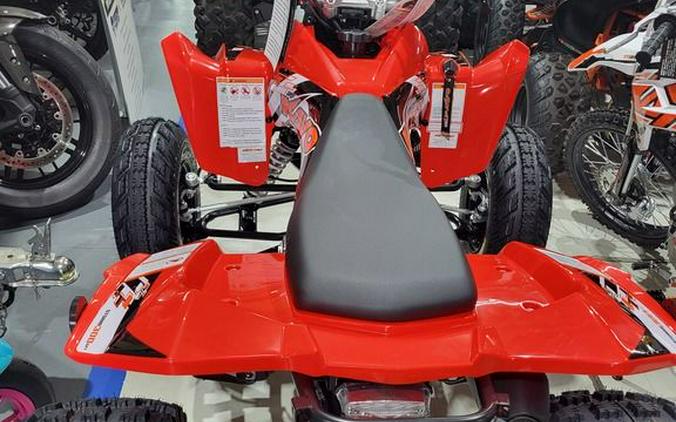2026 Kayo Storm 300 EFI