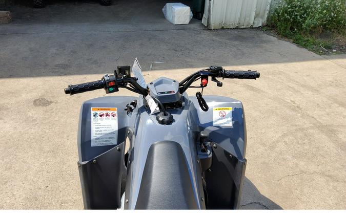 2023 KYMCO MONGOOSE 90S