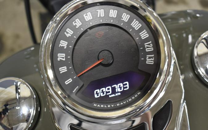 2021 Harley-Davidson Heritage Classic 107