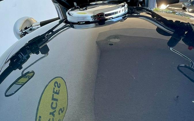 2024 Kawasaki W800 ABS