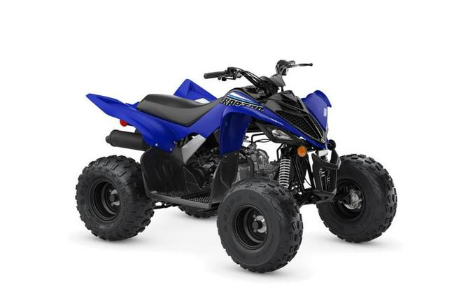 2022 Yamaha Raptor 90