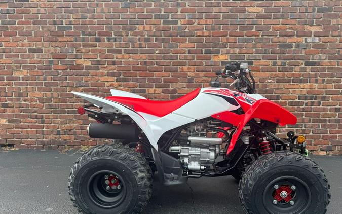 2024 Honda TRX250X