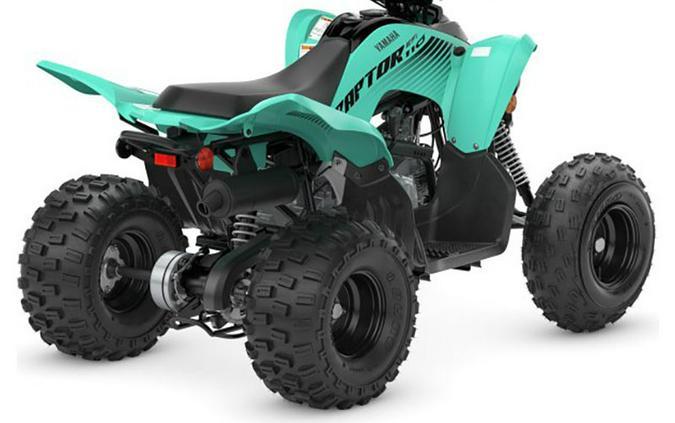 2024 Yamaha Raptor 110