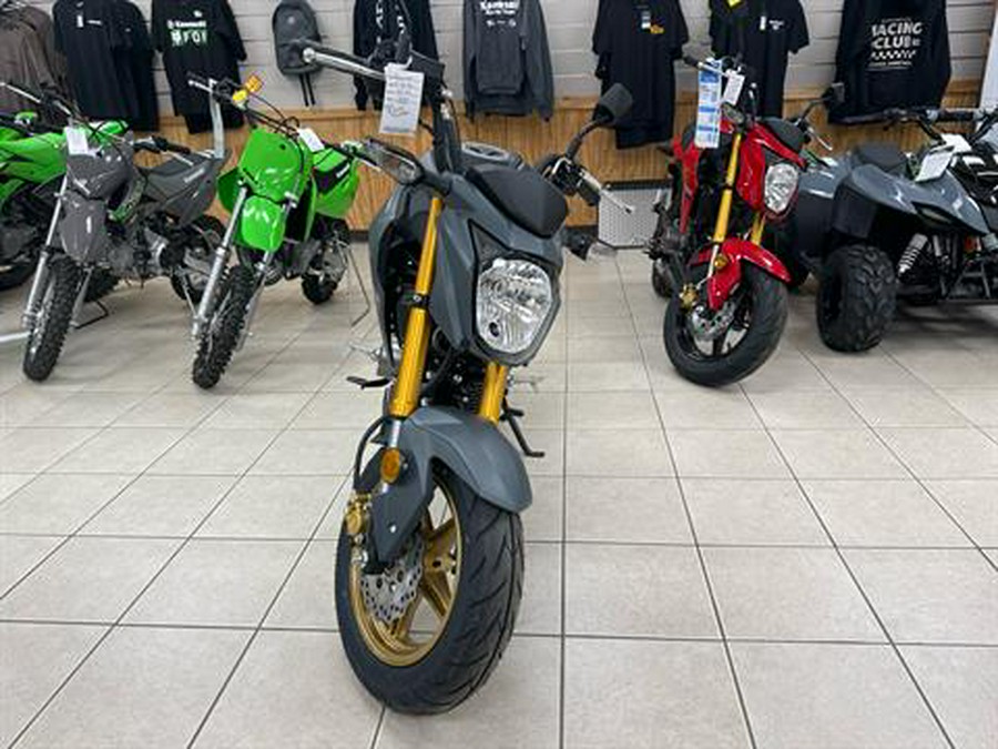 2024 Kawasaki Z125 Pro