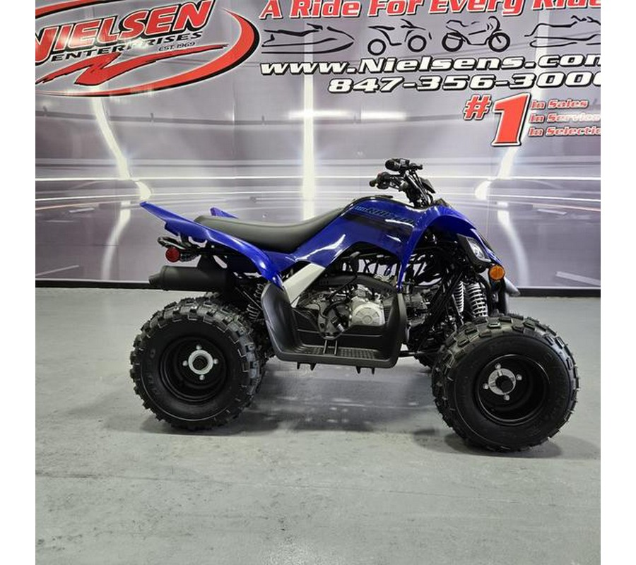 2025 Yamaha Raptor 110