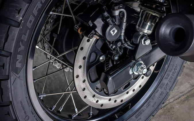 2026 Royal Enfield Bear 650 Golden Shadow 650