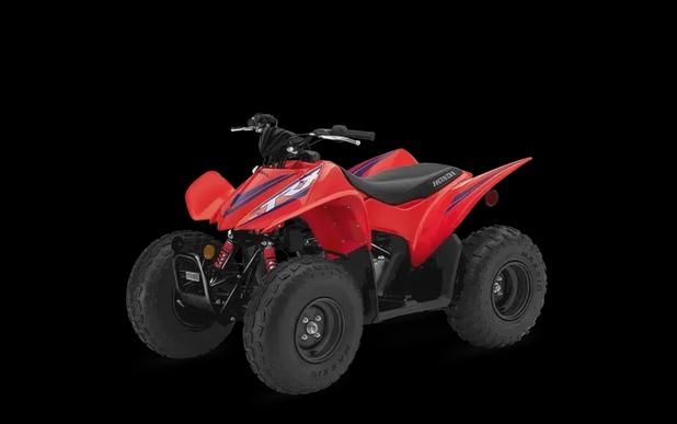 2024 Honda Powersports TRX90X