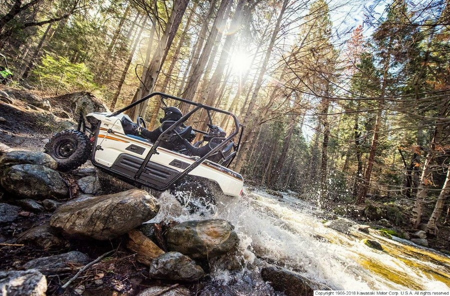 2018 Kawasaki Teryx4™