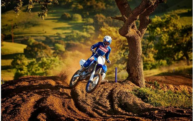 2020 Yamaha YZ 450F MONSTER ENERGY