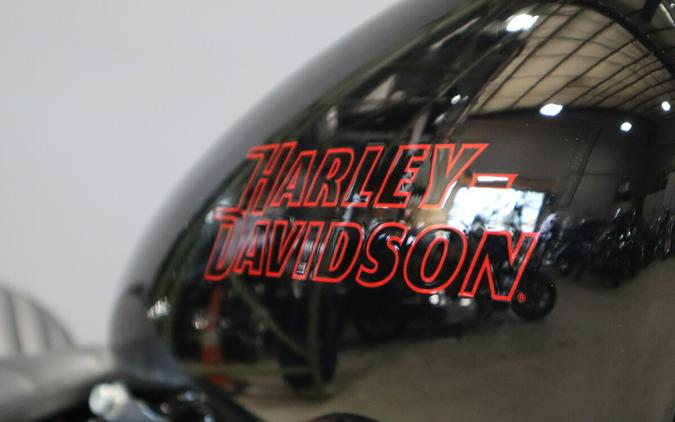 2023 Harley-Davidson Softail Standard