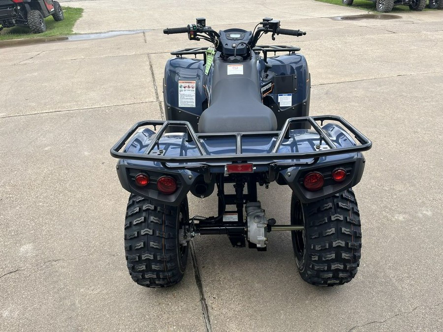 2025 Kawasaki Brute Force® 300