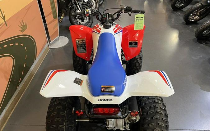 2026 Honda TRX 250X