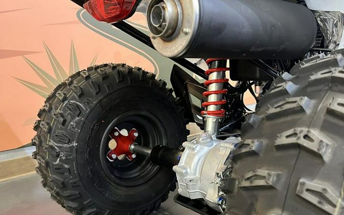 2026 Honda TRX 250X