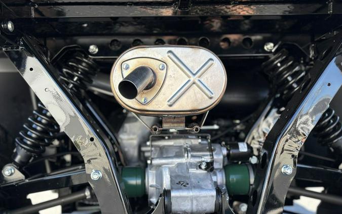2025 Kawasaki Mule PRO-DXT FE EPS