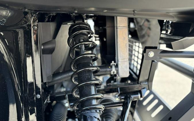 2025 Kawasaki Mule PRO-DXT FE EPS