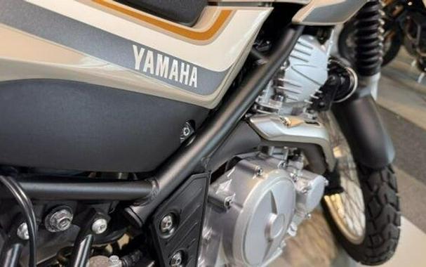 Used 2019 Yamaha XT250 Adventure Touring/Dual Sport