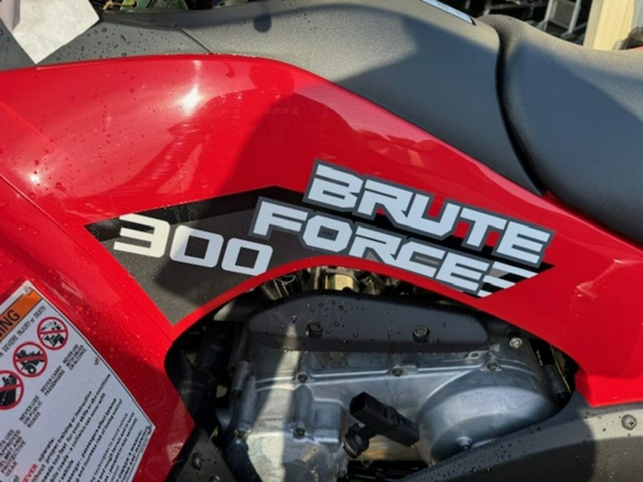 2026 Kawasaki Brute Force 300