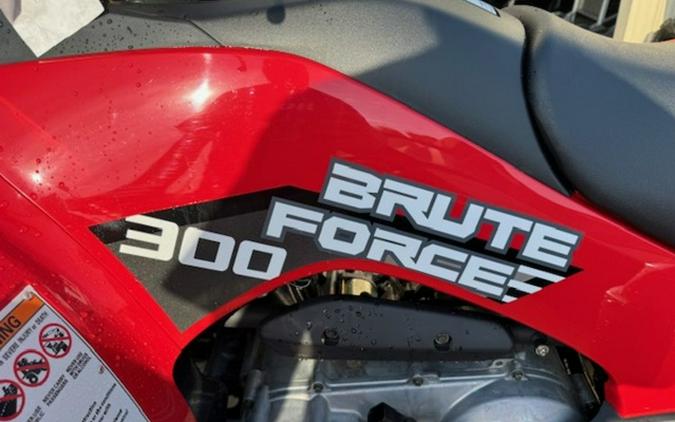 2026 Kawasaki Brute Force 300