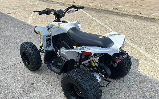 2026 Can-Am Renegade 110 EFI
